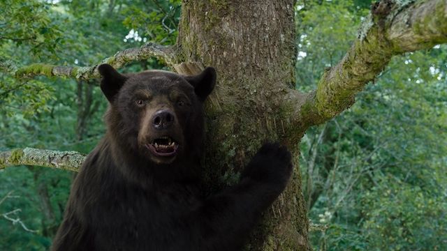 Weekend Box Office Results for Cocaine Bear